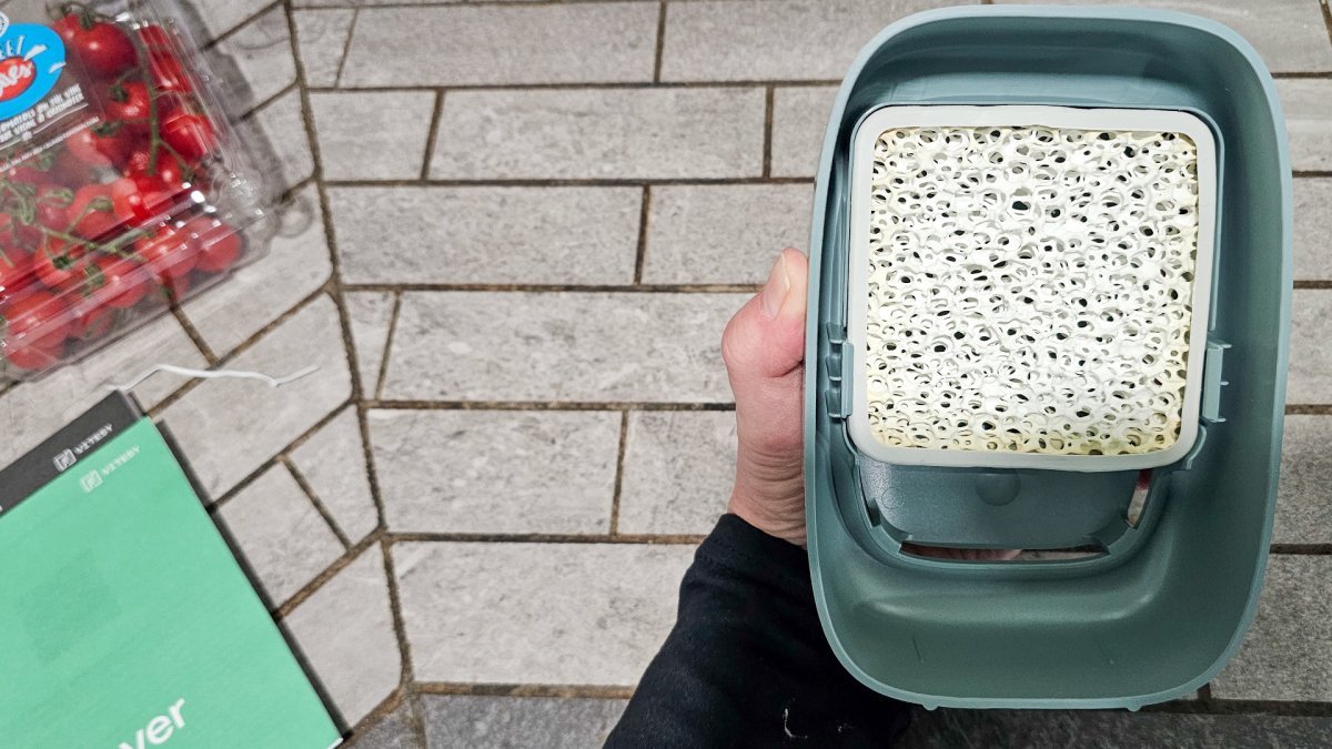 Removable washable Shelfy filter