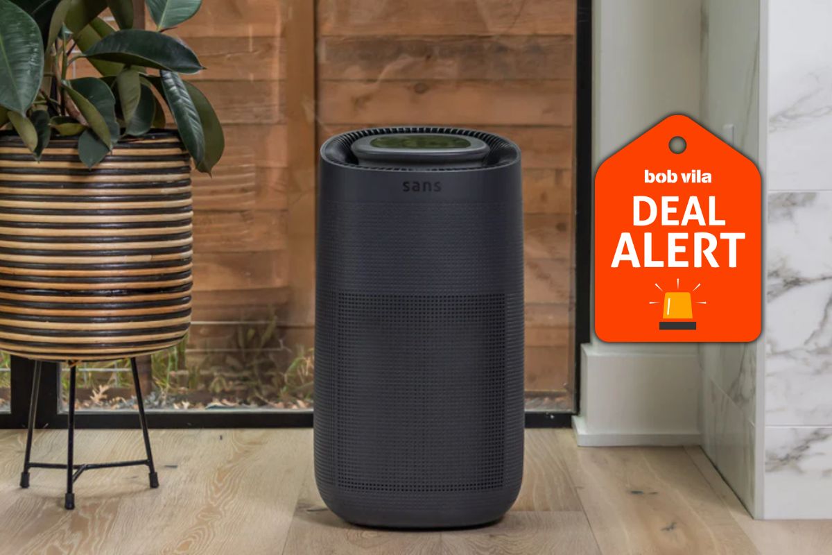 Sans Dropped Prices on Air Purifier Bundles by Up to 37%—Save Up to $300