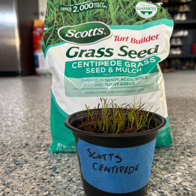 Scotts Turf Builder Centipede Grass Seed & Mulch