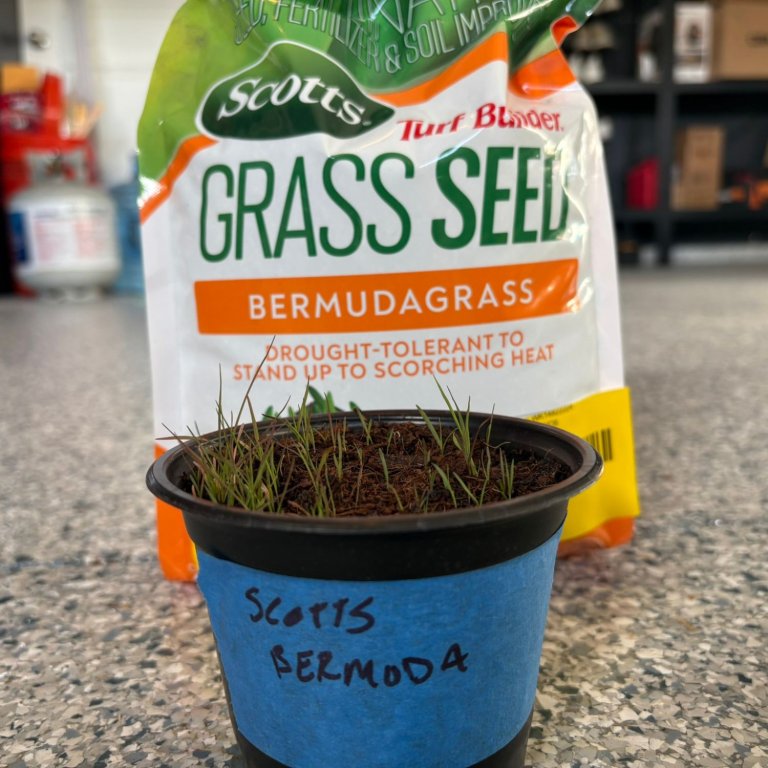 Scotts Turf Builder Grass Seed Bermudagrass