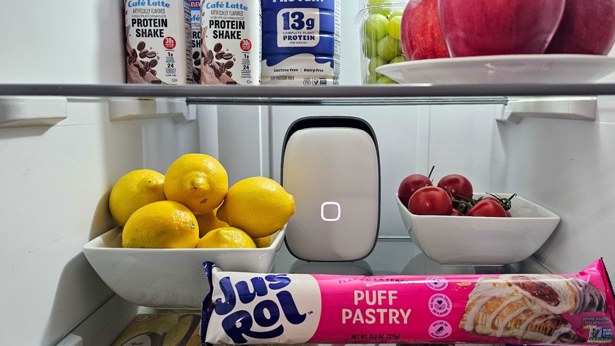 Shelfy at back of fridge self