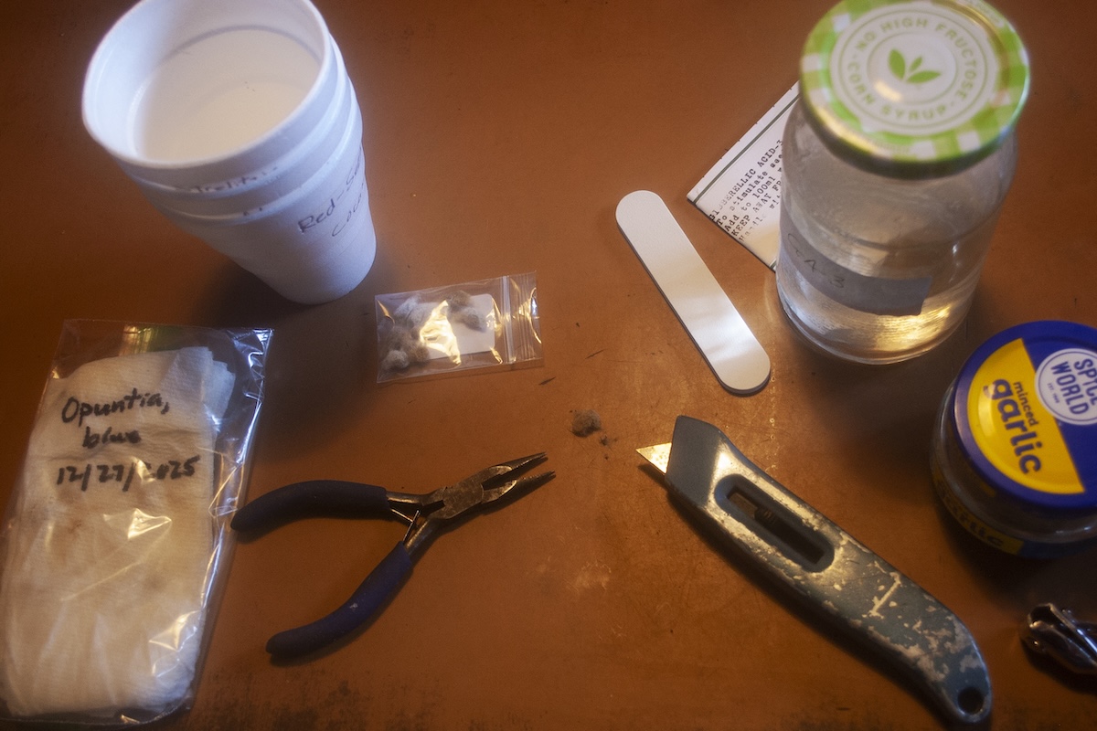 Seed pretreating supplies that seasoned gardeners use to germinate difficult seeds.