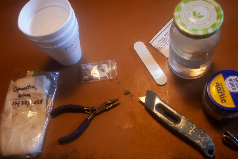 Seed pretreating supplies that seasoned gardeners use to germinate difficult seeds.