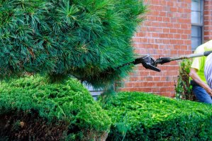 Person cutting a hedge in front of a window with hedge trimmer.