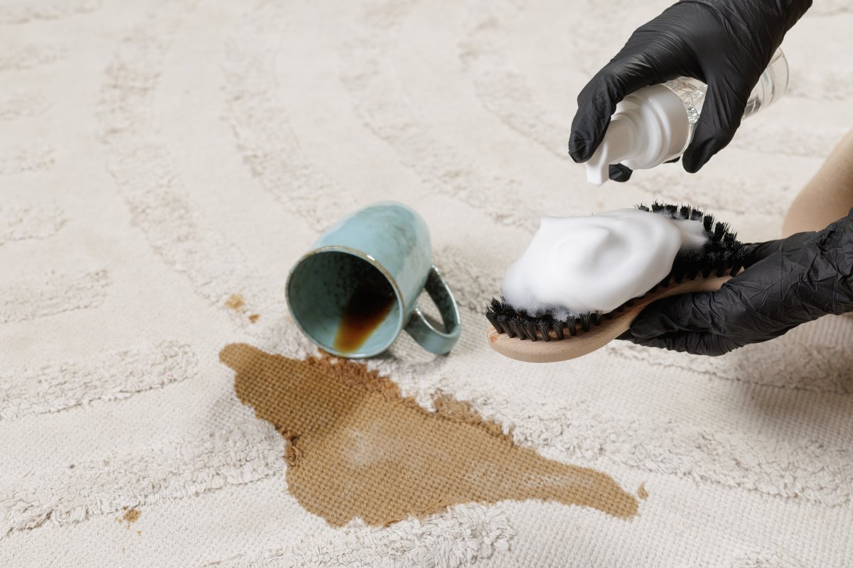 A gloved household worker uses a foam brush cleaner to remove fresh coffee stains from a beige carpet.