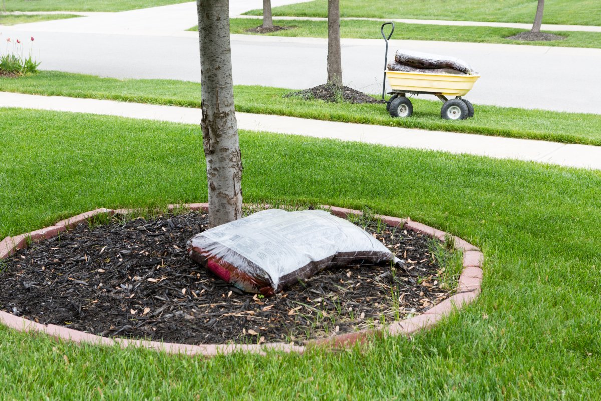 Mulch around the trunk of a tree in a neat circular flowerbed with a bag of mulch on the ground.