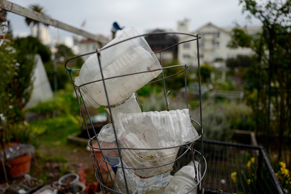 Recycled plastic jugs and other garbage in a home garden.