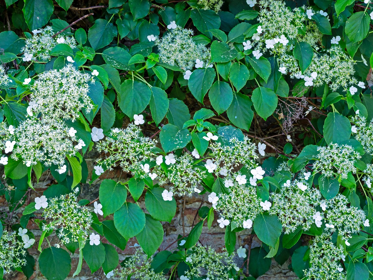 Post image 11