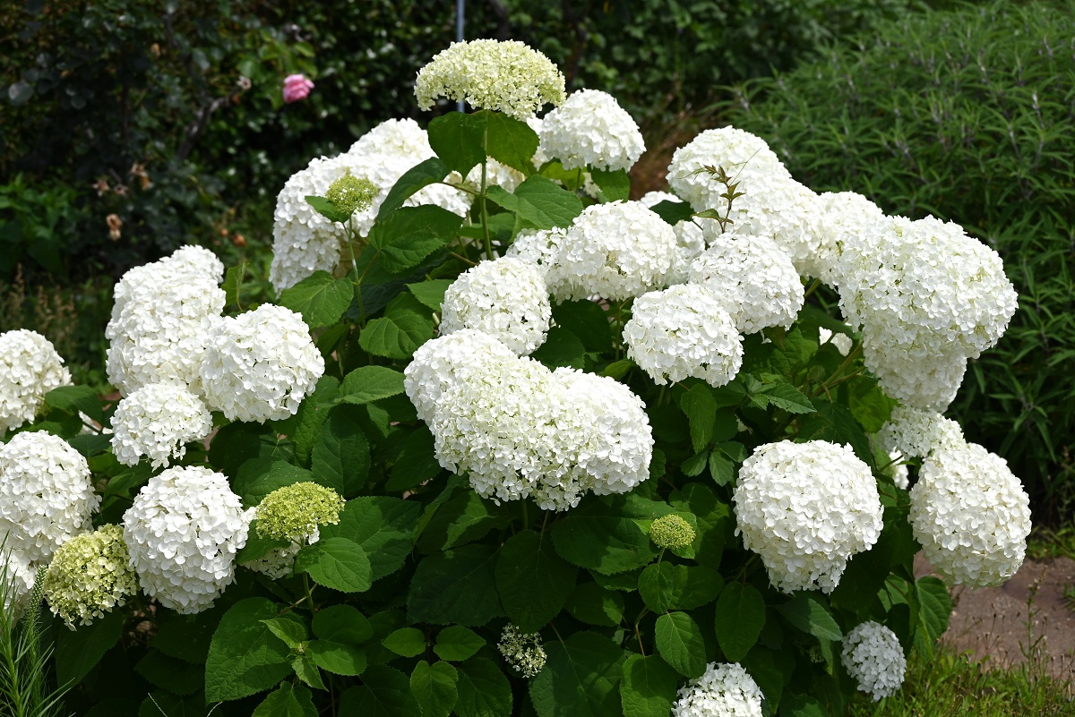 Post image 10