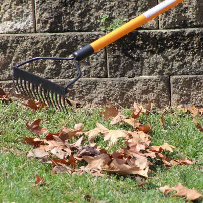 The Best Rakes for Every Yard Task—Over 30 Models Tested