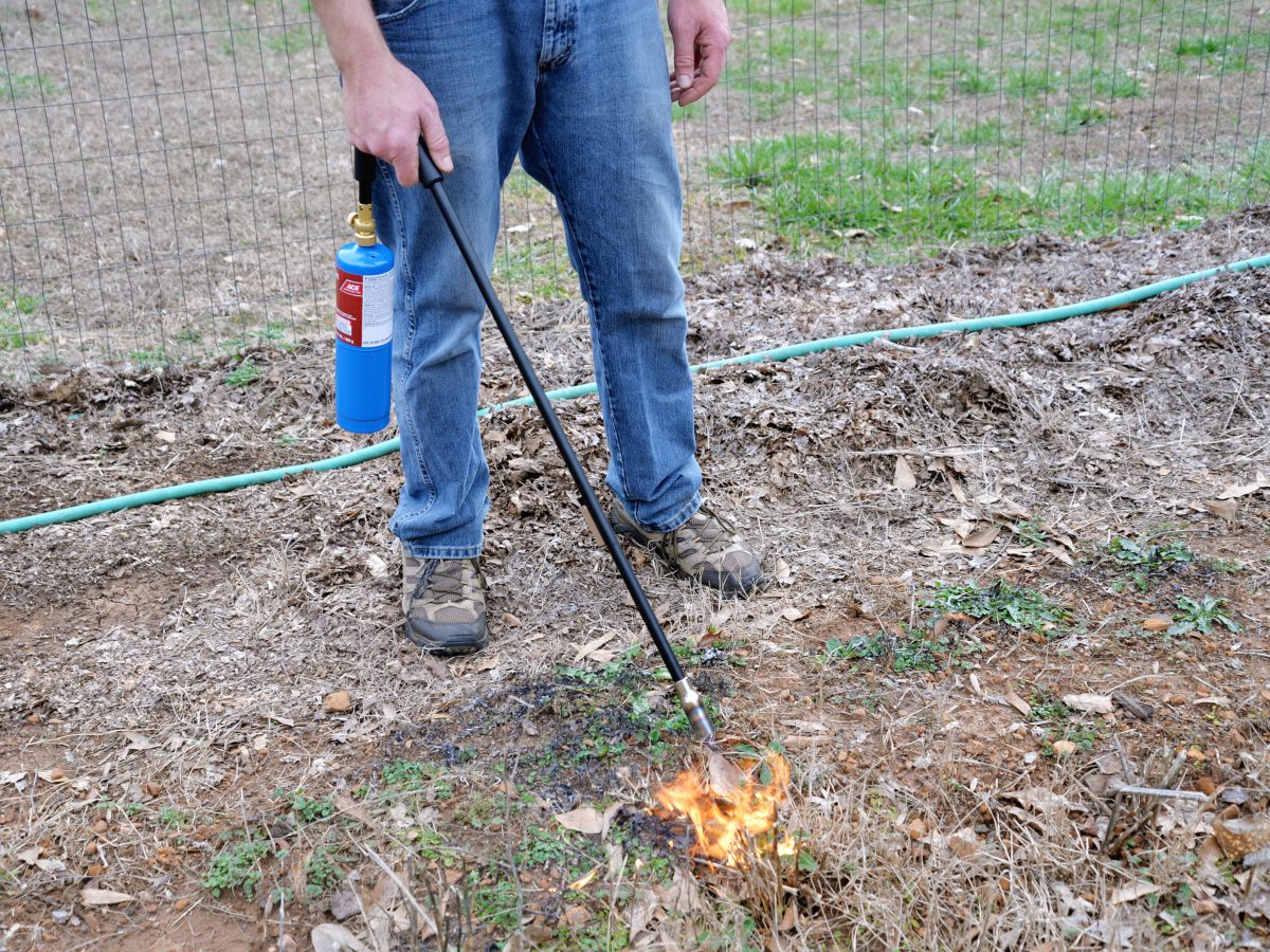 A man is using a weed torch to burn weeds in the yard.