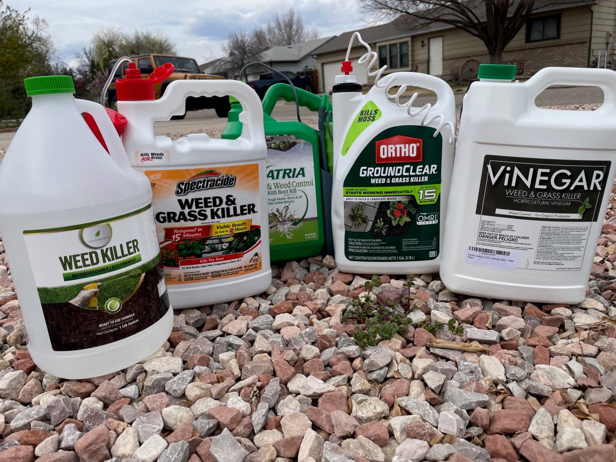 Best weed killers for gravel group
