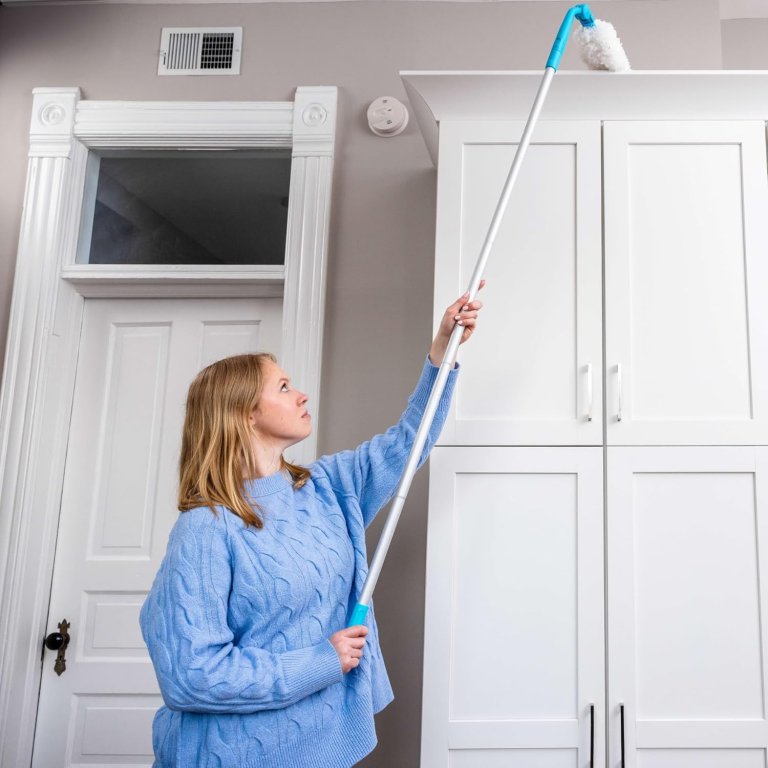 Cleaning Tentpole Awards E-Cloth Easy-Click 4-in-1 Dusting and Floor Care Kit