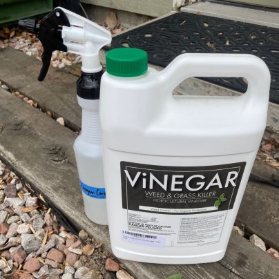 Energen Carolina Vinegar Weed & Grass Killer application