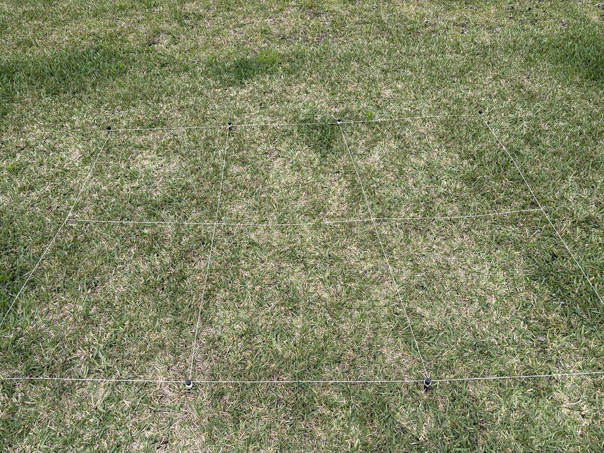 Lawn Fertilizers Week 0