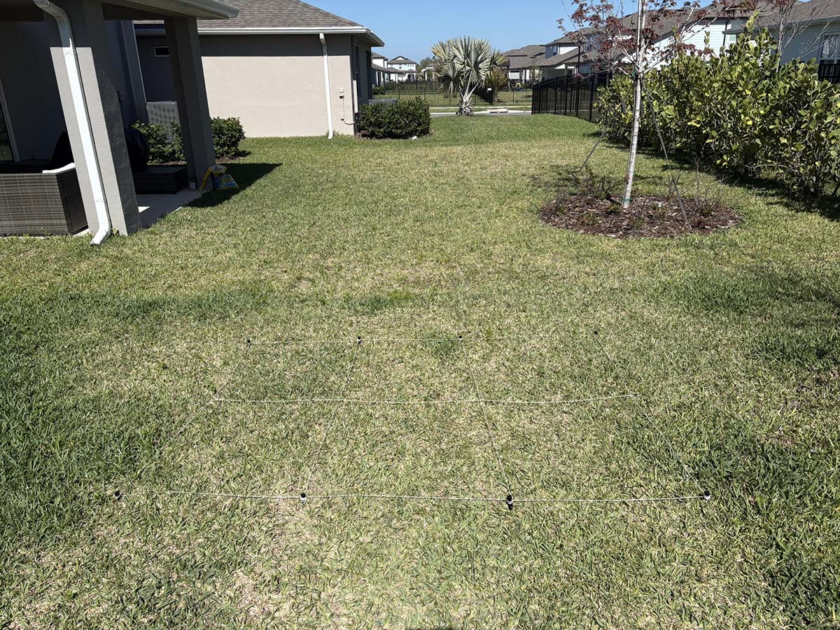 Lawn Fertilizers Week 1