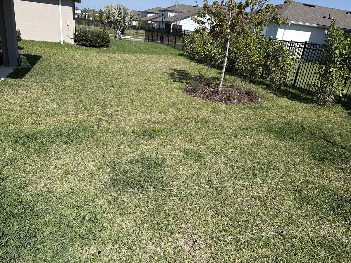 Lawn Fertilizers Week 2