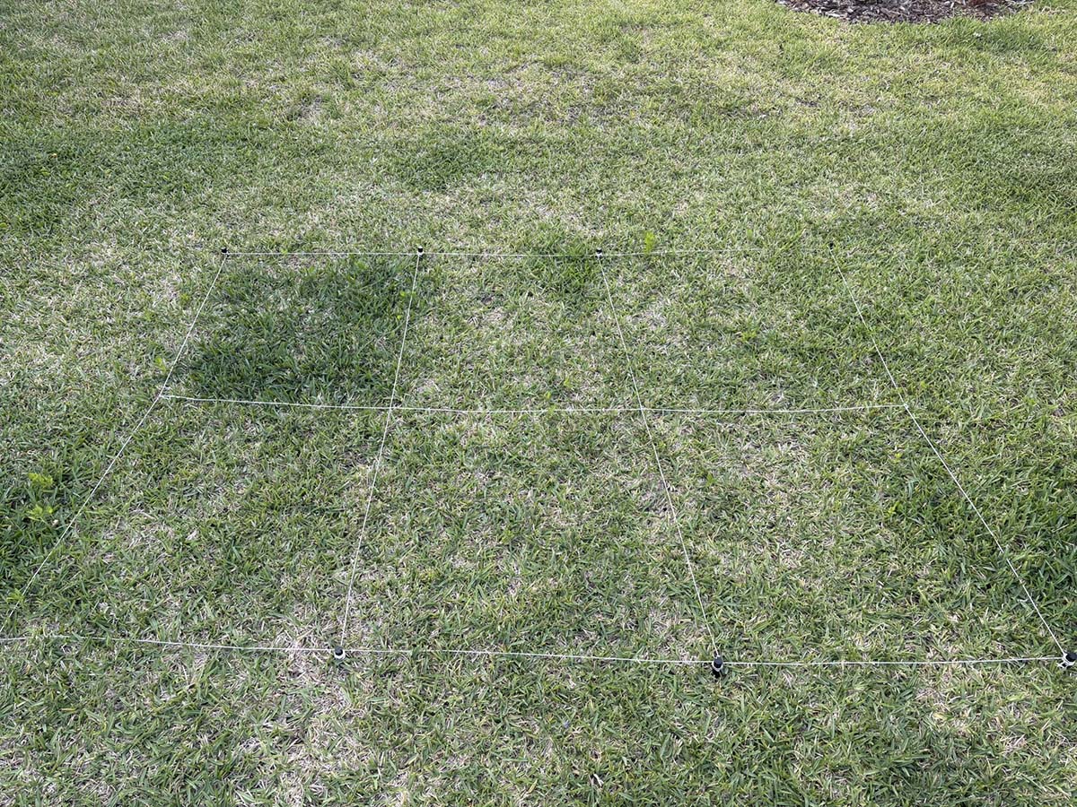 Lawn Fertilizers Week 3