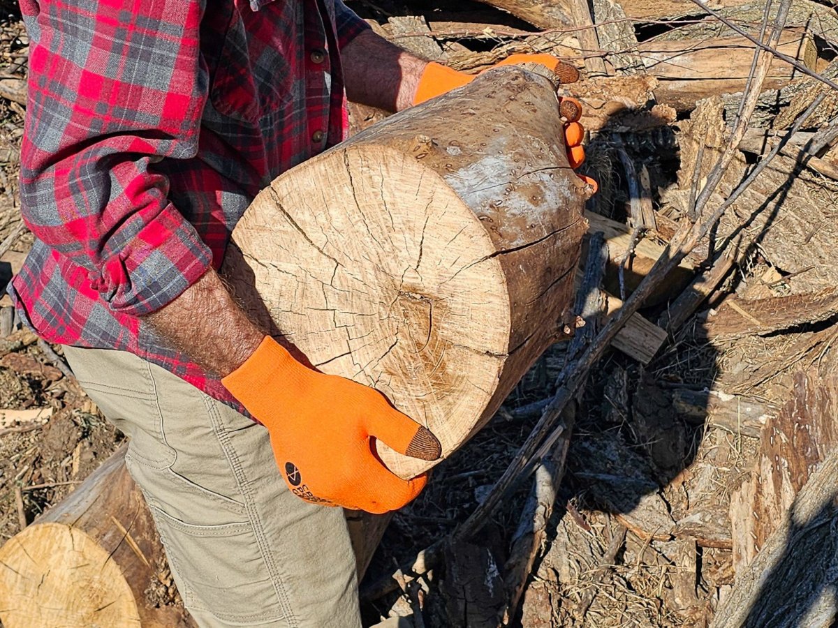 Moving logs while wearing cross point gloves