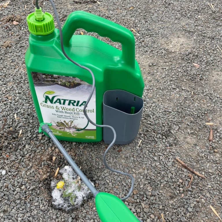 Natria Grass & Weed Control With Root Kill applied to a dandelion