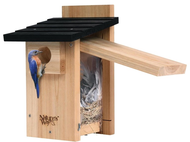 Nature's Way Bird Products Bluebird Box House