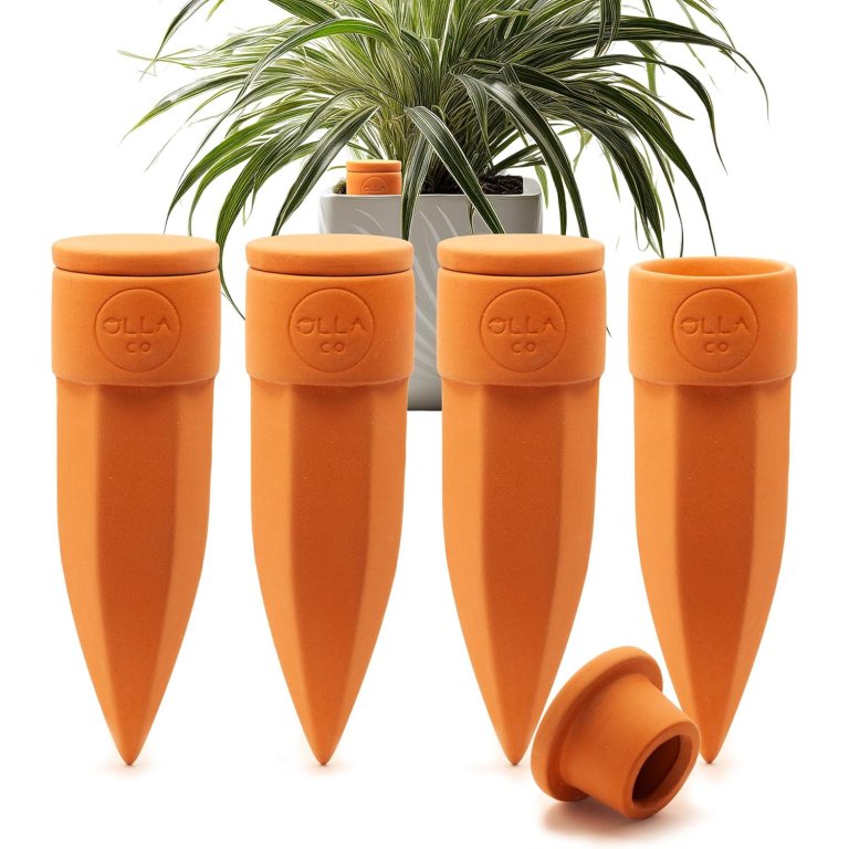 The Olla Company Terra Cotta Plant Watering Spikes on a white background with a plant behind them