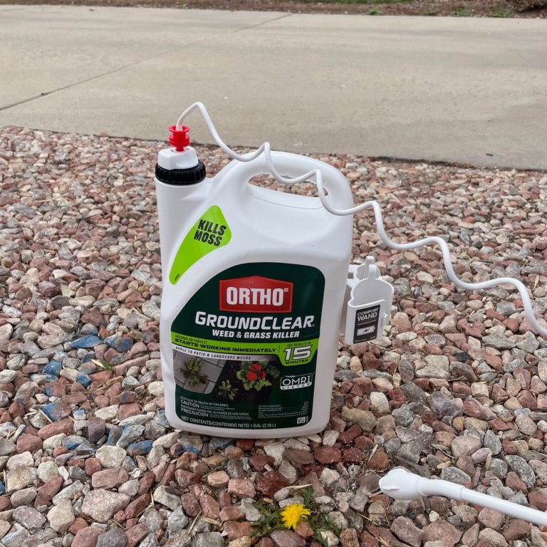 Ortho GroundClear Weed & Grass Killer applied to a dandelion