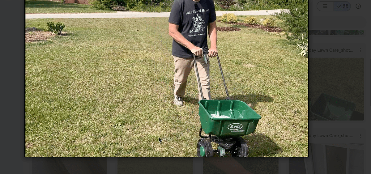 Sunday Lawn Care Products