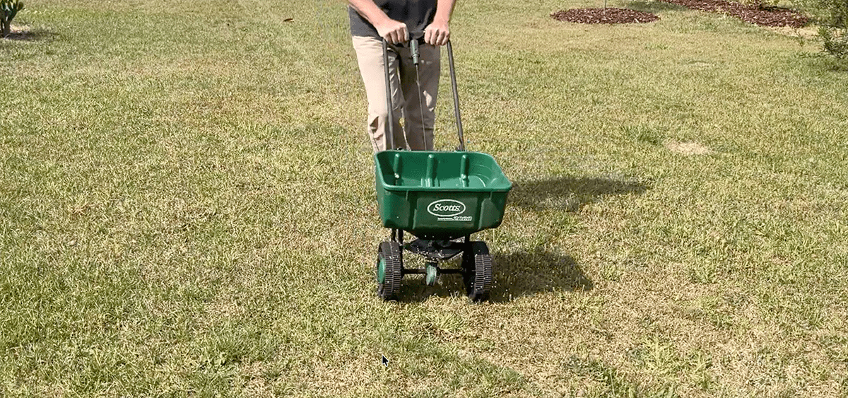 Sunday Lawn Care Products