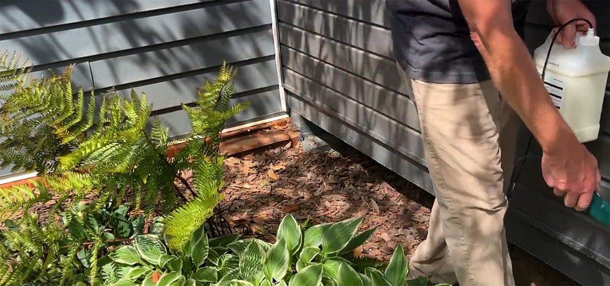 Sunday Lawn Care Products