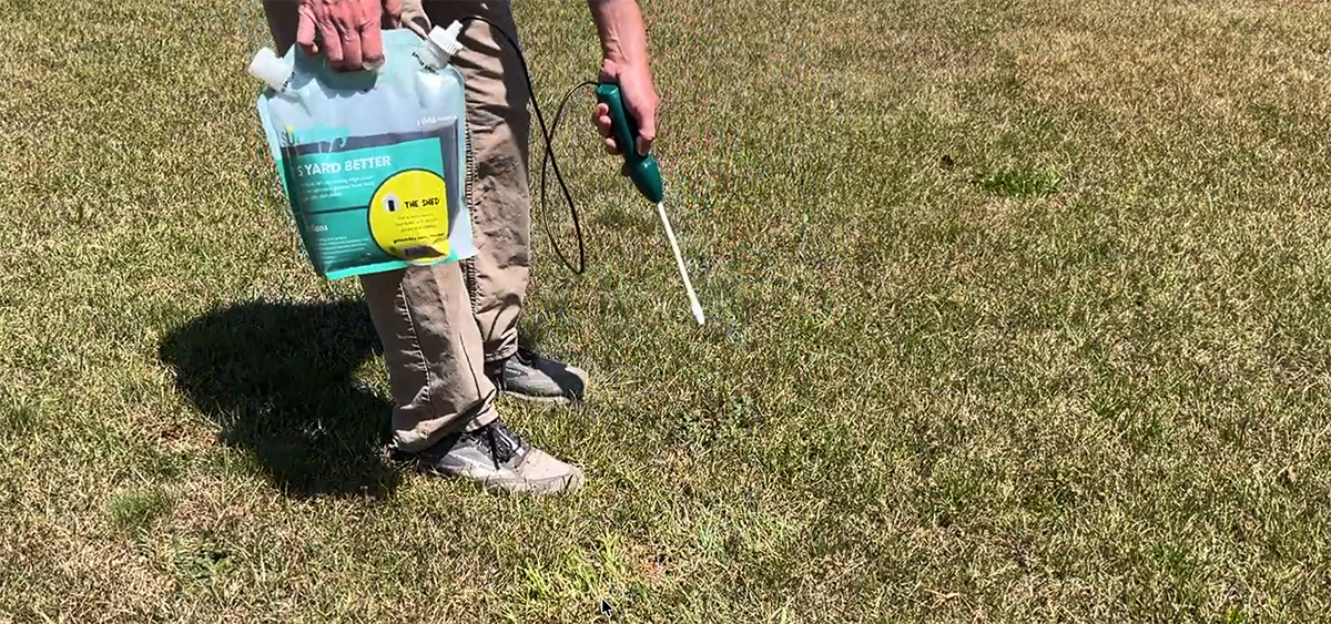 Sunday Lawn Care Products