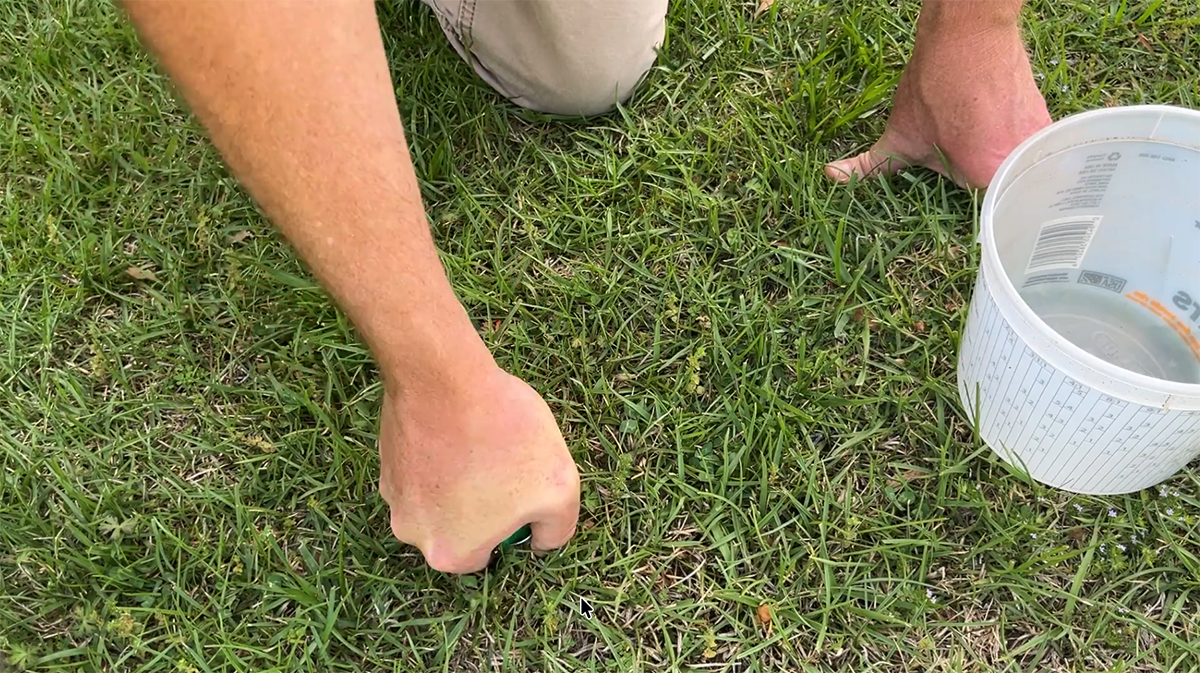 Sunday Lawn Care Products