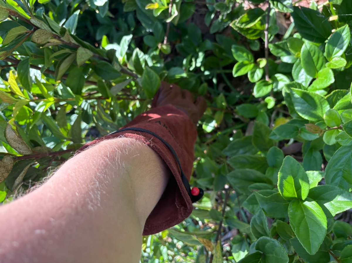 Slarmor Long Gardening