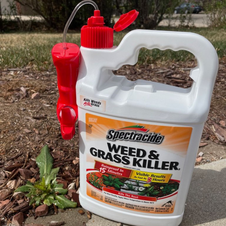 Spectracide Weed and Grass Killer RTU Liquid applied to a large weed