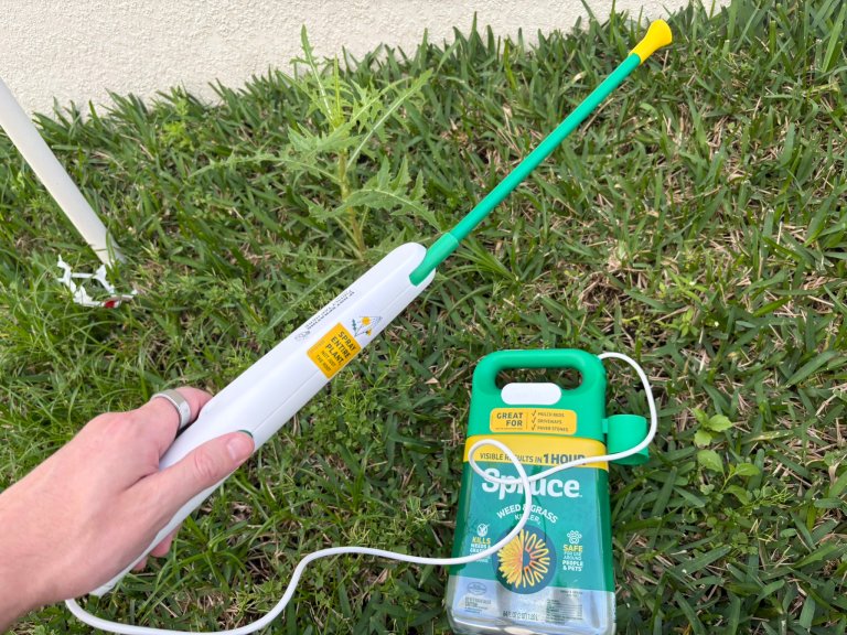 Spruce Weed Killer in action