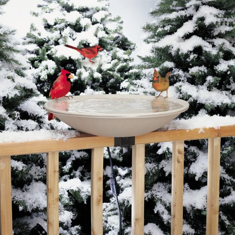 The Best Bird Baths Option API Heated Deck-Mount Bird Bath