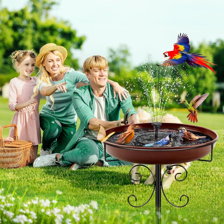 The Best Bird Baths Option Daoeny Classic Freestanding Metal Bird Bath