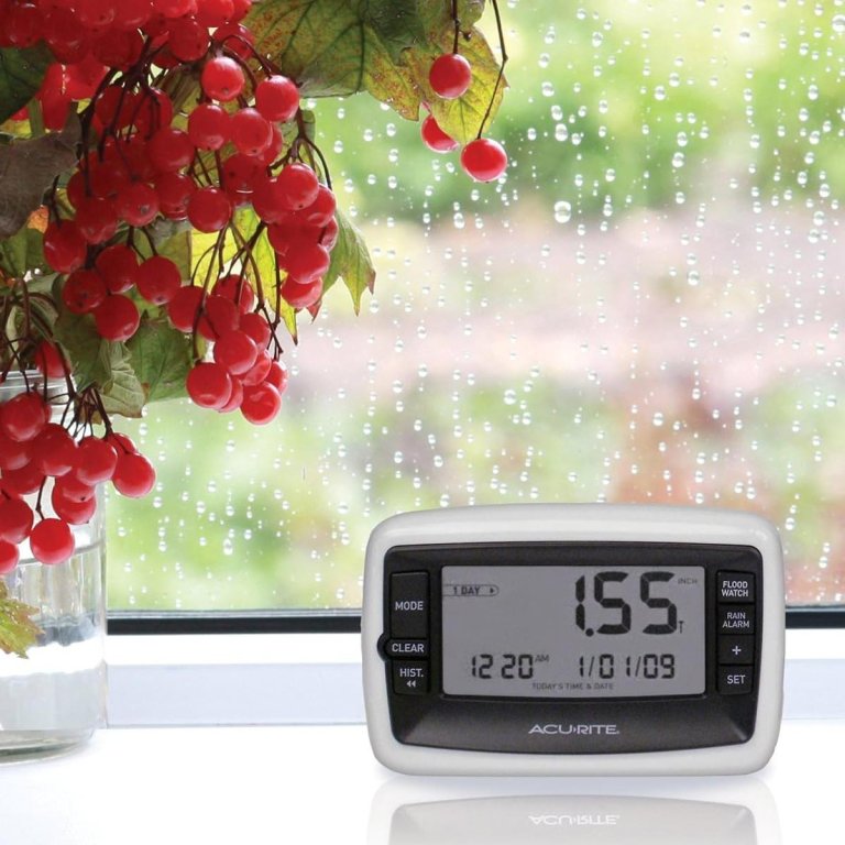 The Best Gardening Tools Option AcuRite Digital Rain Gauge With Self-Emptying Collector