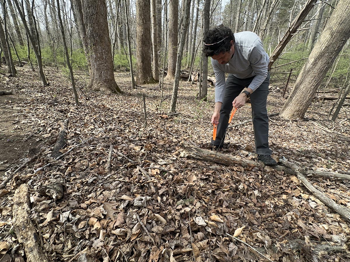 A bobvila.com product tester cutting a branch using one of the best pocket chainsaws during testin
