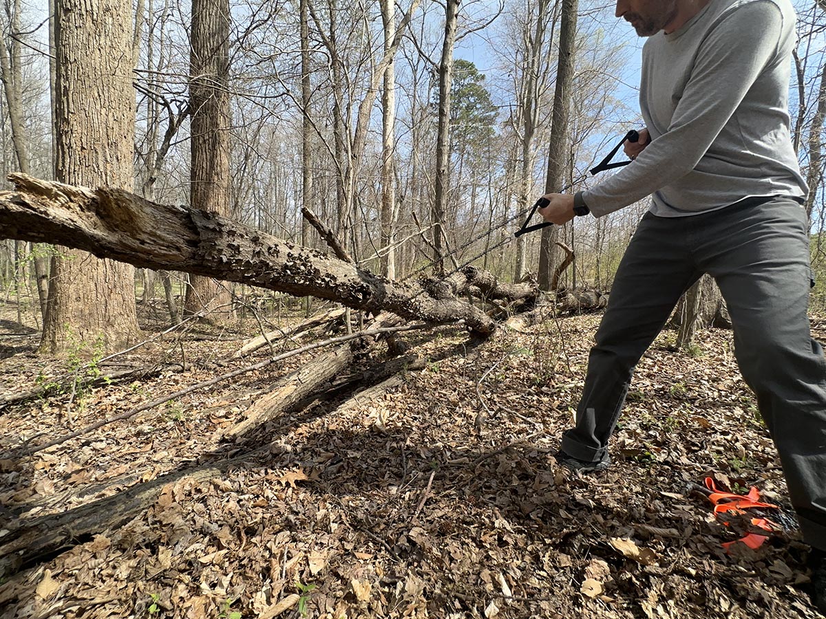 The Best Pocket Chainsaws