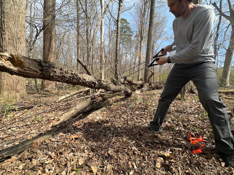 A person using one of the best pocket chainsaws to cut a fallen branch