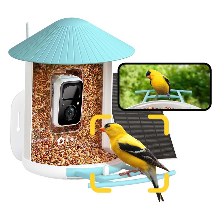 The Gifts You Never Knew Mom Wanted Netvue Birdfy AI Smart Bird Feeder With Camera