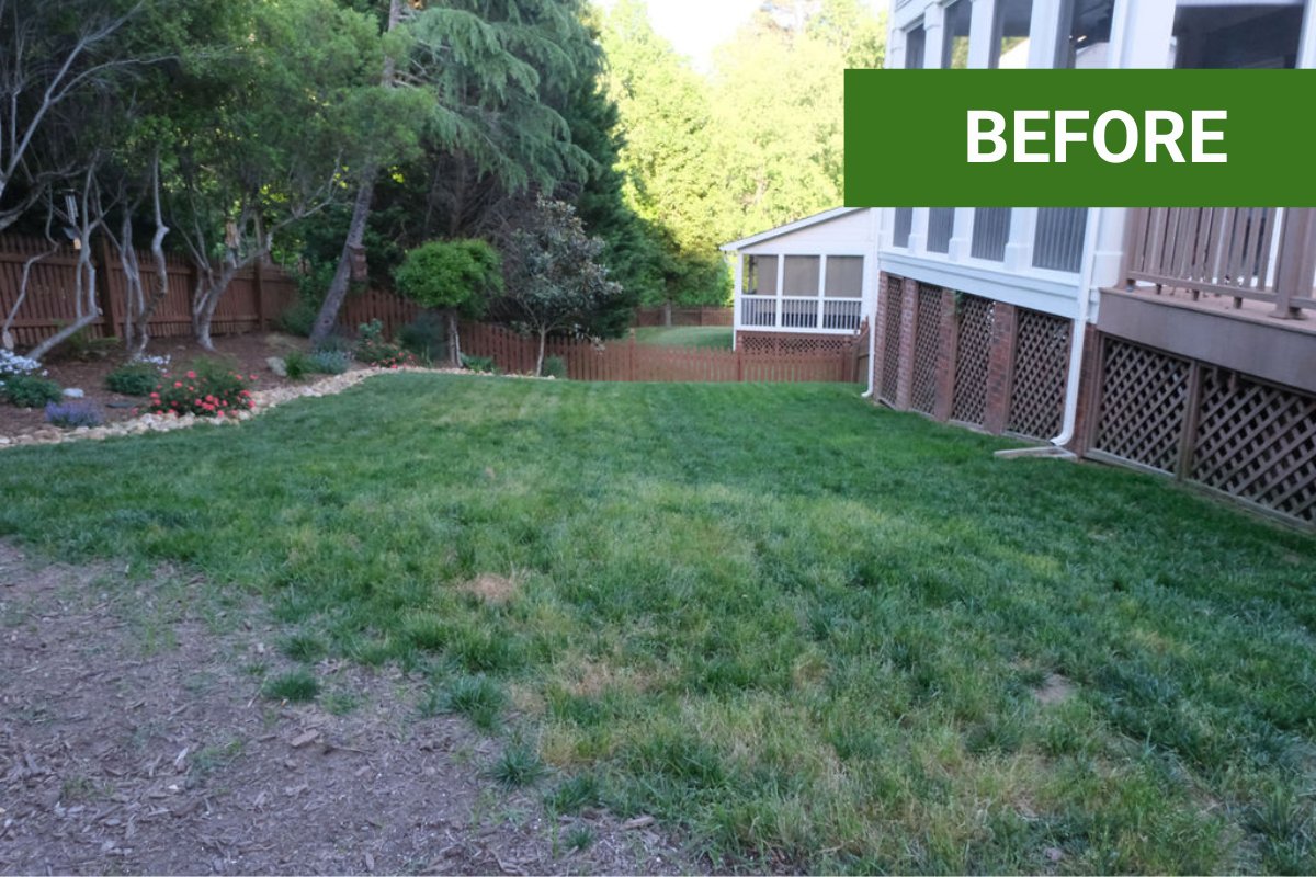My Lawn Was Destroyed — Then I Used TruGreen for 12 Months and Here's What Happened
