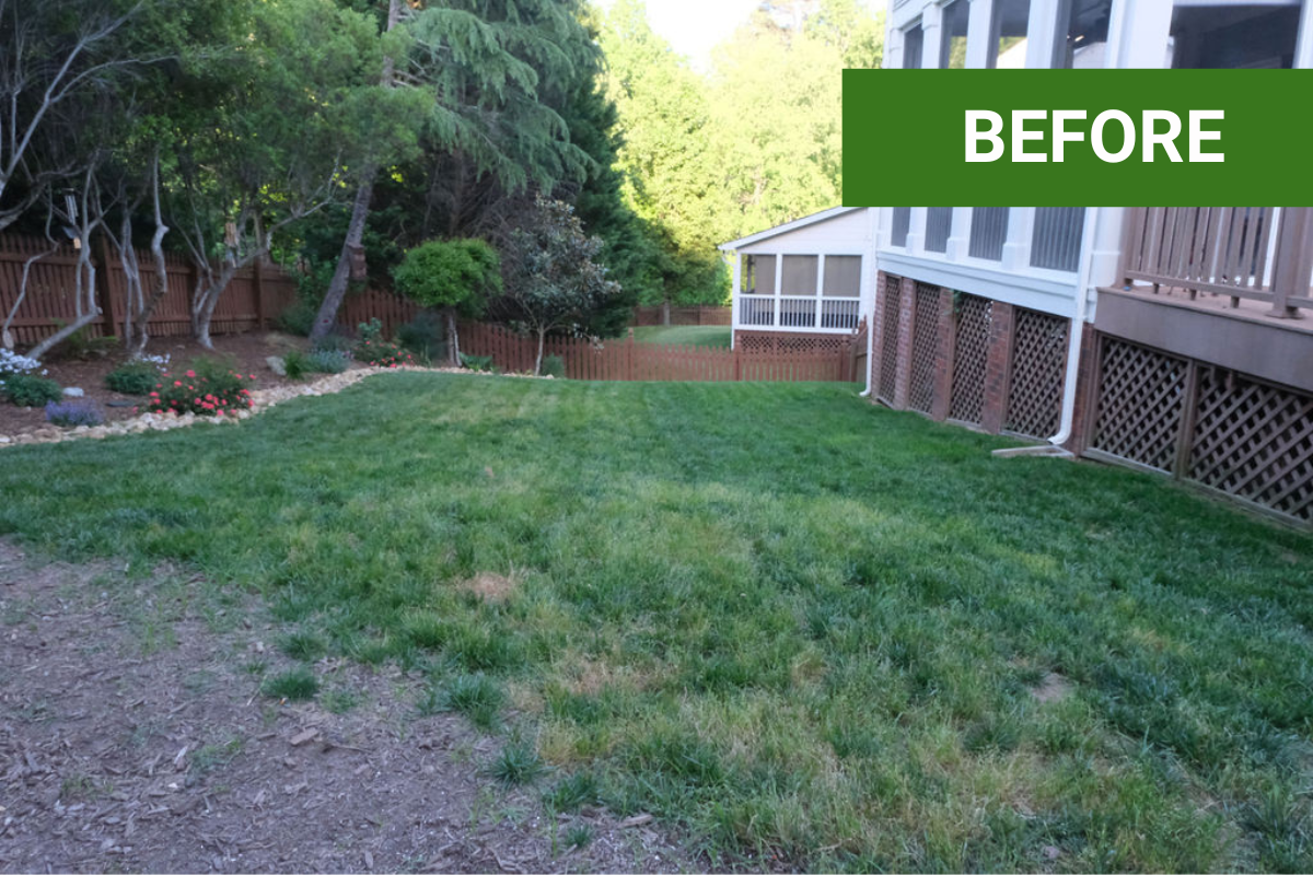 My Lawn Was Destroyed—Then I Used TruGreen for 12 Months and Here’s What Happened