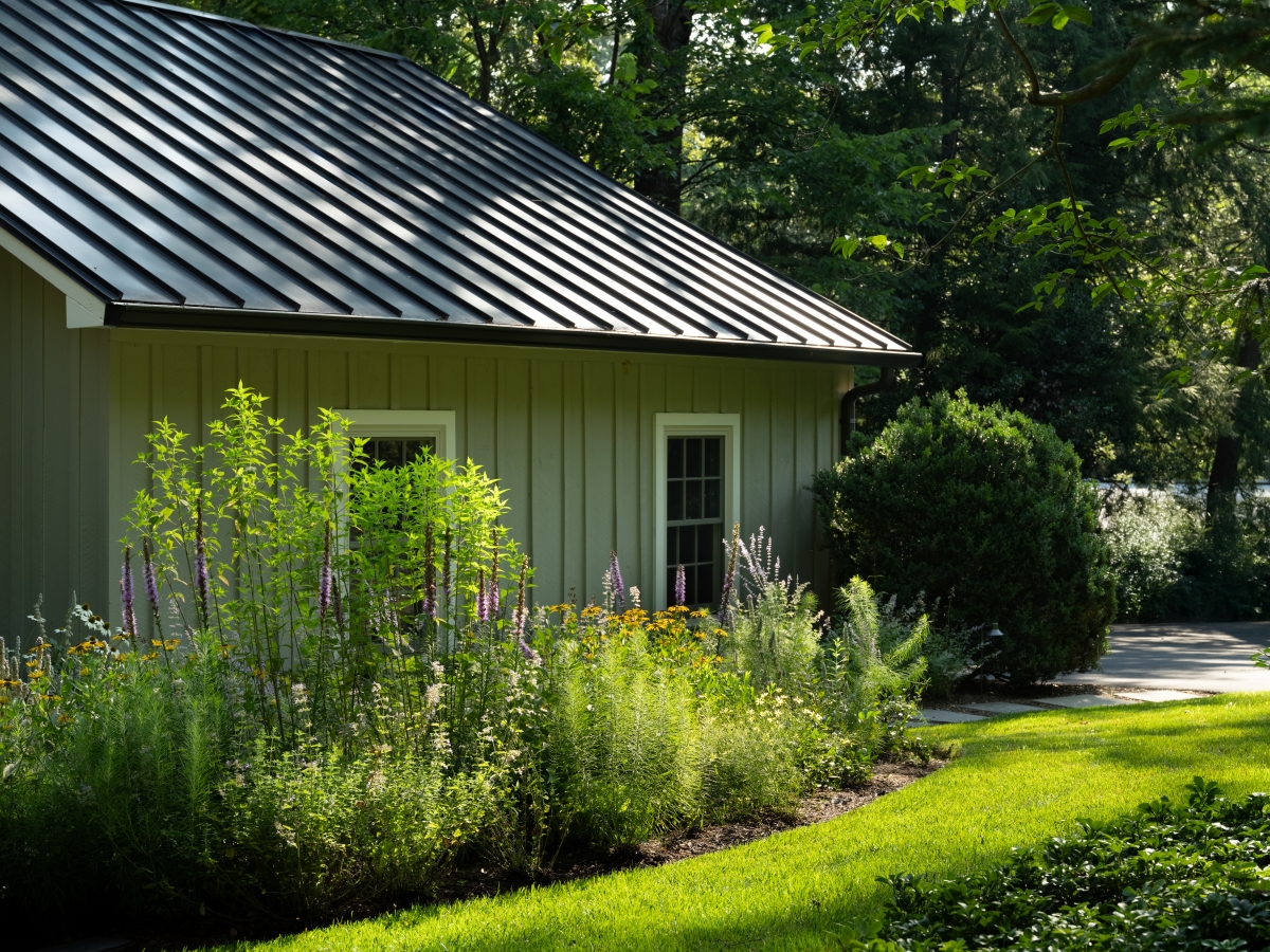 Plants blooming along a home.