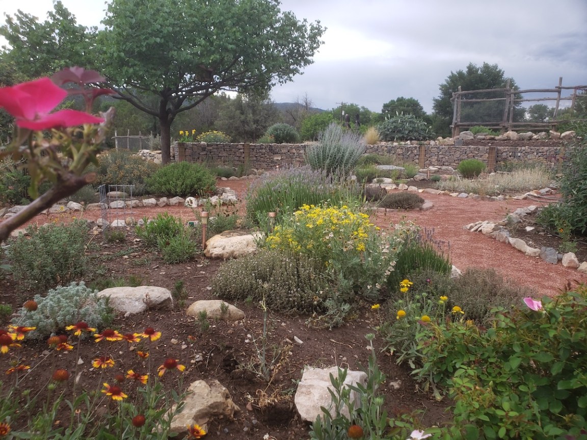 Landscaping With Rocks: Tips and Ideas From a Seasoned Gardener