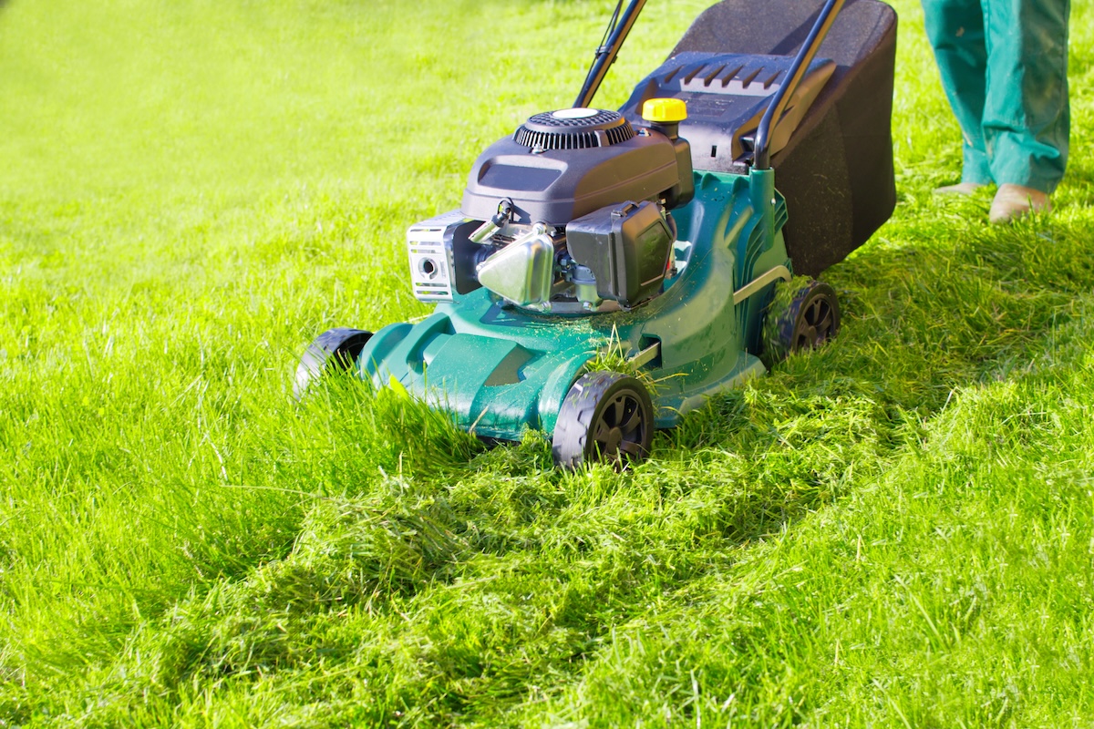 Person operating lawnmower mows green grass and leaves the grass in the lawn to be mulched.