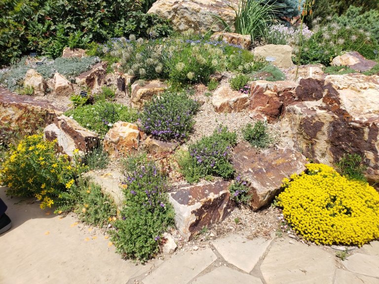 A rock garden with several different florals and bush plants.