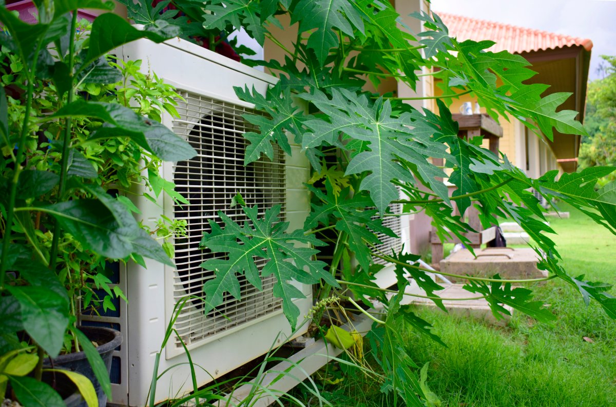 Outdoor air conditioning unit covered by overgrown greenery.