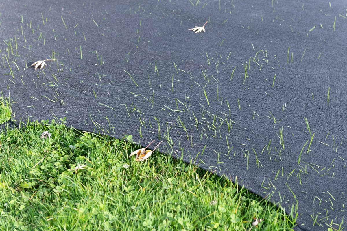 Black tarp on top of grass with some grass growing through it.